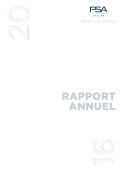 Rapport annuel 2016 VFR