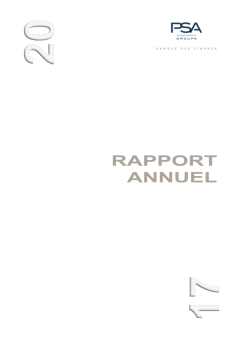 Rapport annuel 2017 VFR