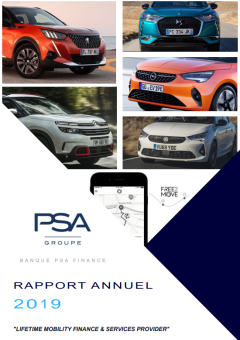Rapport annuel 2019 VFR