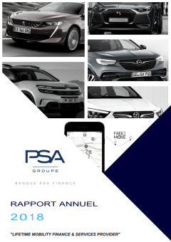 Rapport annuel 2018 VFR